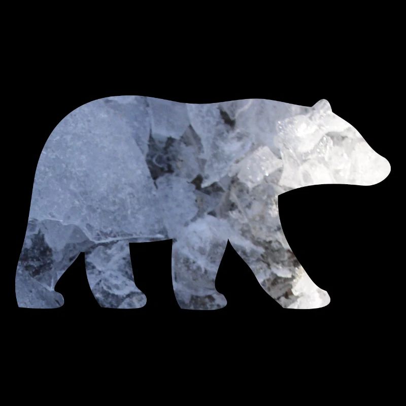 Polar bear (b)