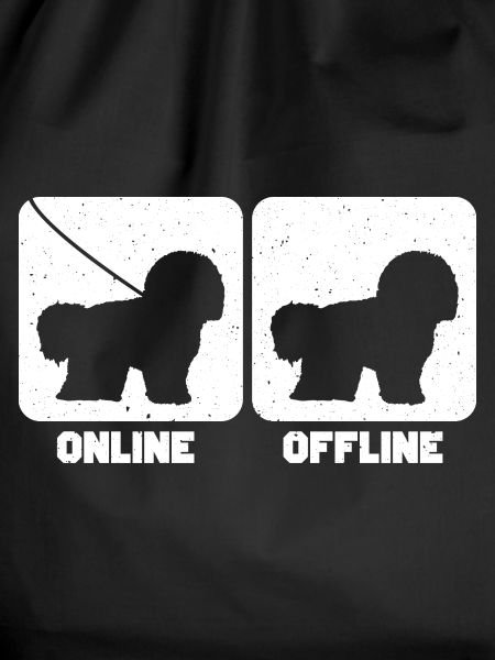 Bichon Frise