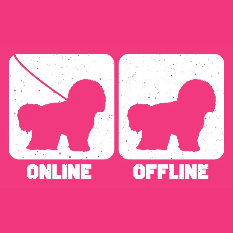 Bichon Frise