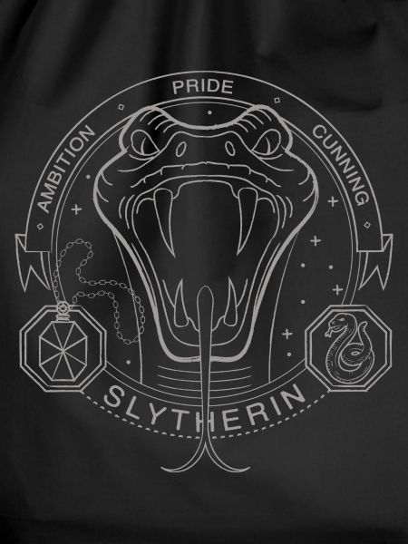 Harry Potter Slytherin Coat of Arms
