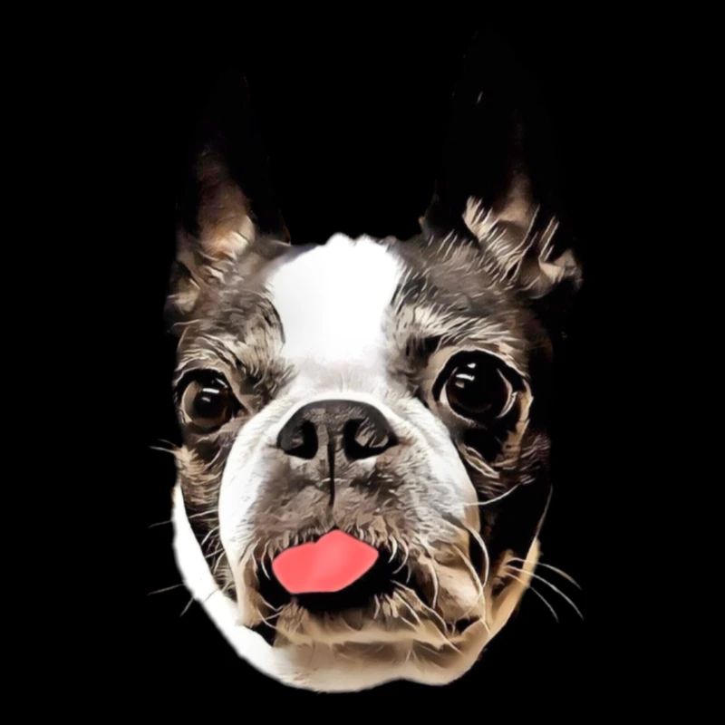 Boston Terrier moth I