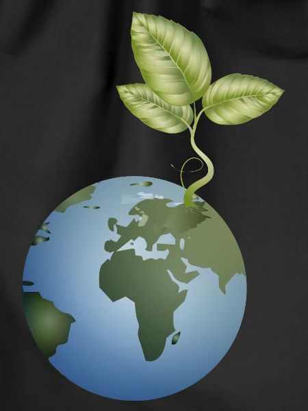 in the soil unfolds