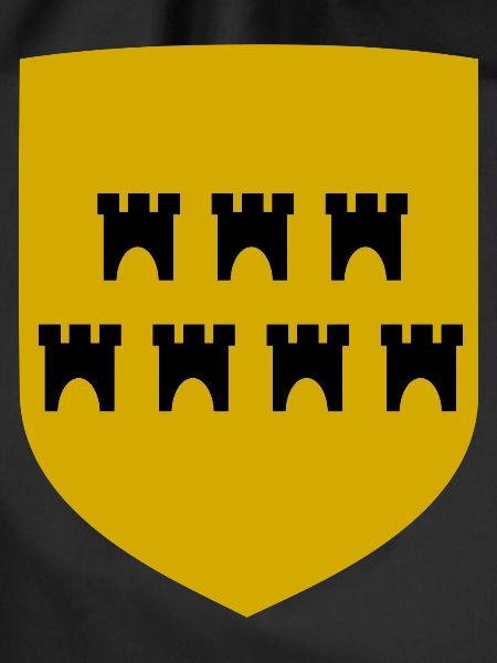The Transylvanian Saxons