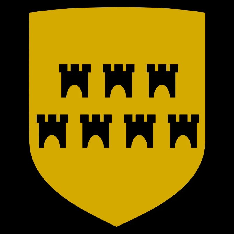 The Transylvanian Saxons