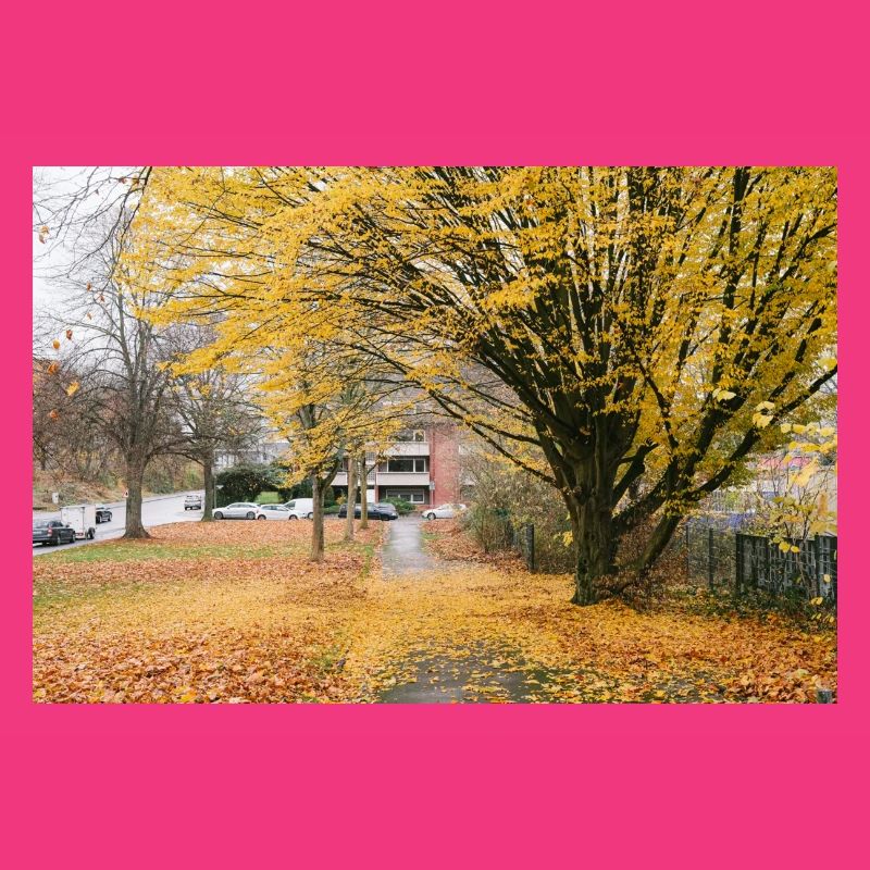 Autumn