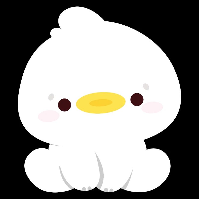 Cute Duck
