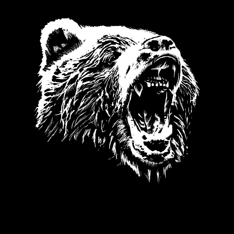 Les ours noirs et blancs se dirigent vers les amoureux de la nature