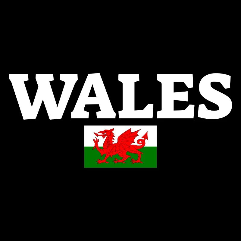 Wales Welsh flag Welsh