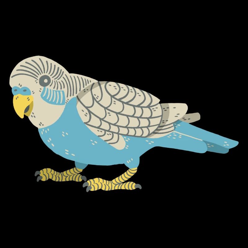 Budgerigar