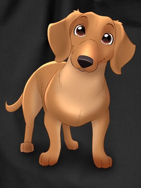Dachshund dog - funny dachshund