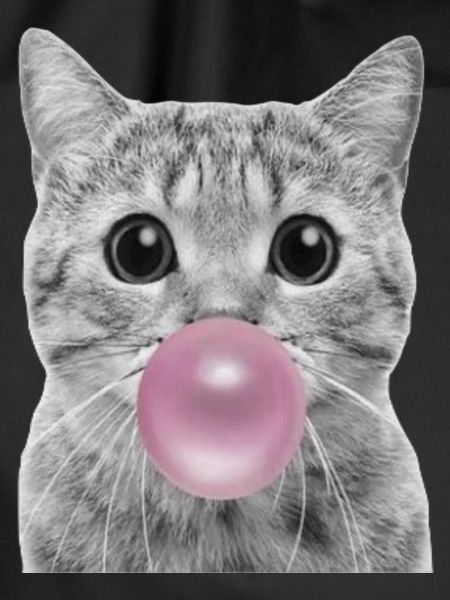 Bubble Katze