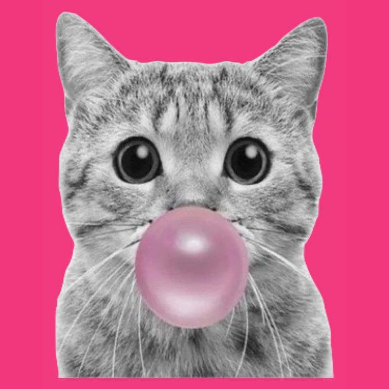Bubble Cat