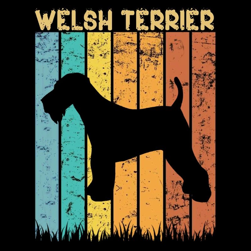 Welsh terrier