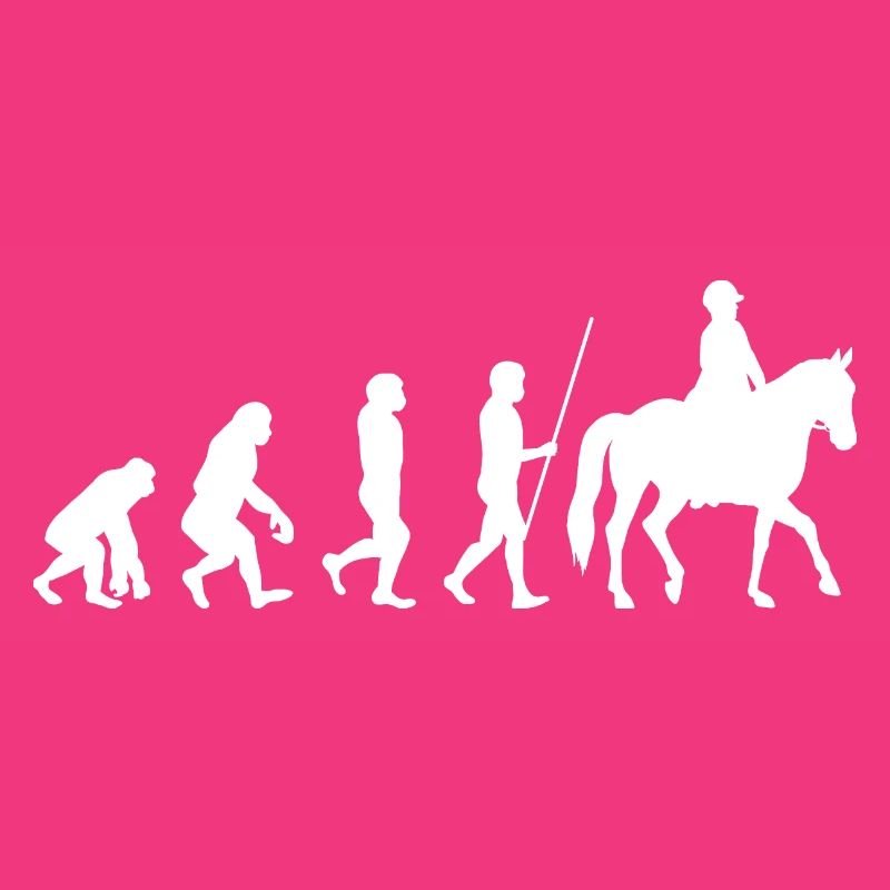 Évolution de l’équitation