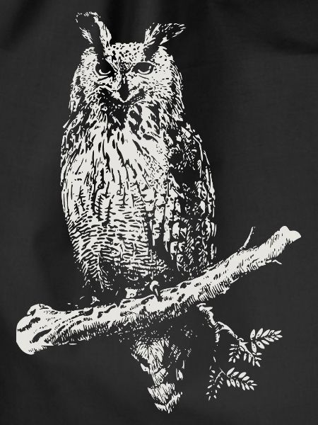 The Owl