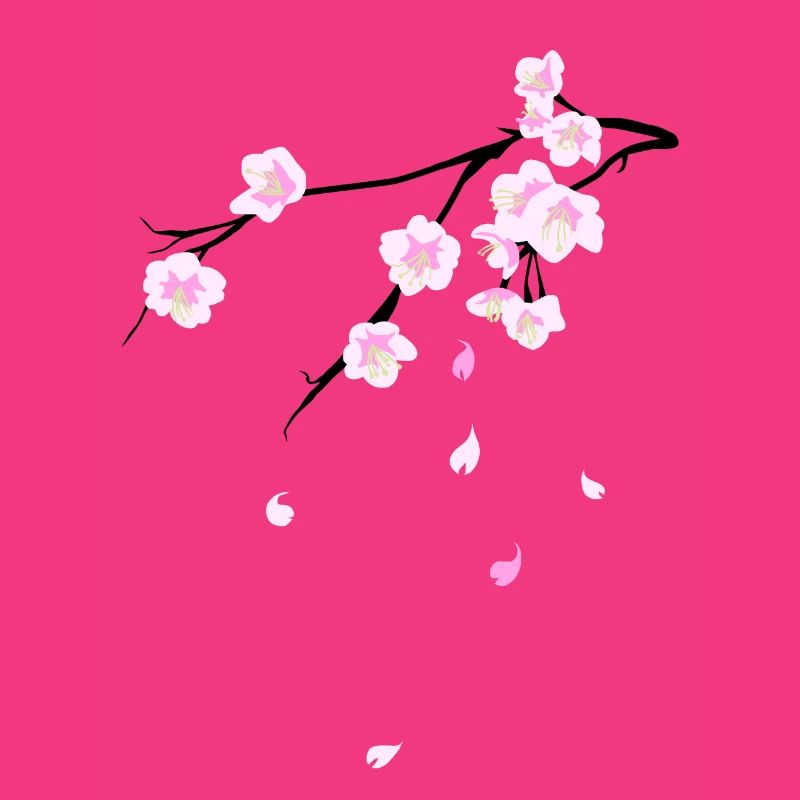 Cherry Blossoms