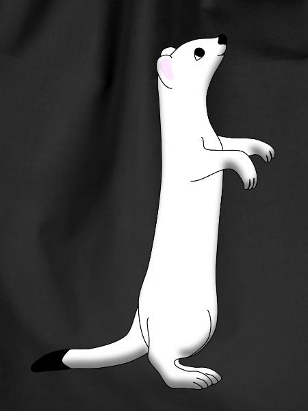 Ermine