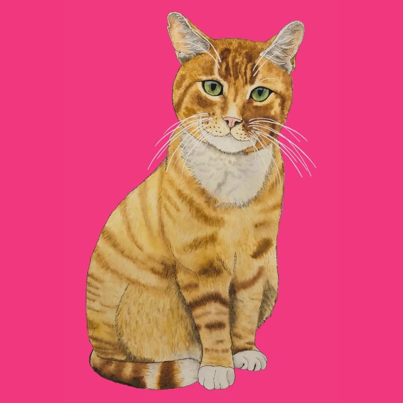rote Katze sitzend