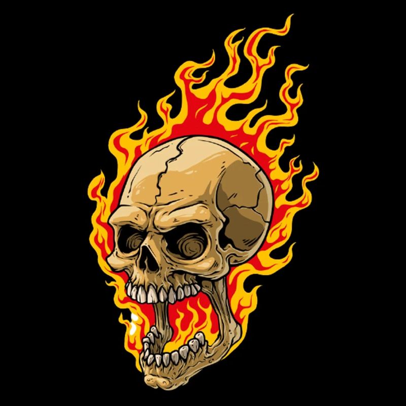 Human skull with flames