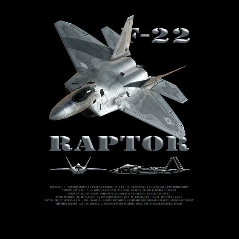 F22 2 - 2102