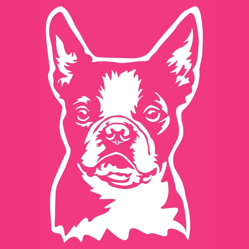 Boston Terrier Kopf "Black Edition"