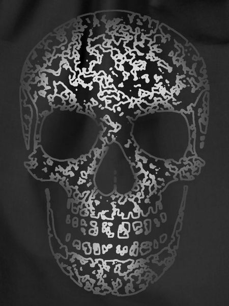 Skull Structure R6Z