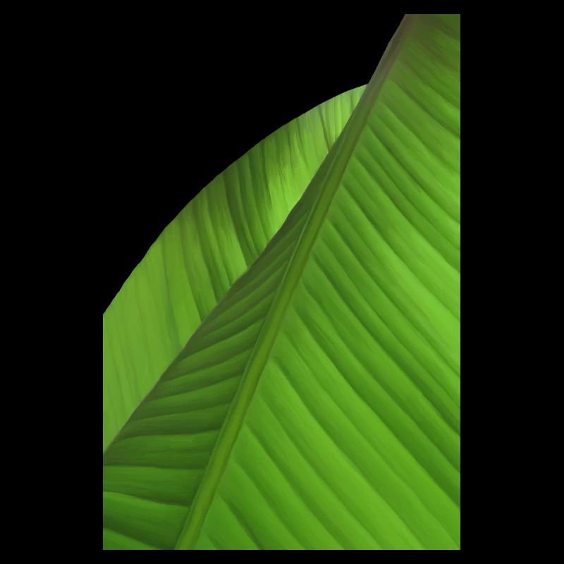 Bananenblätter - Ölbild