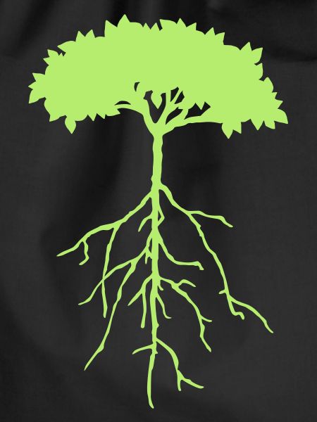 wurzelbaum