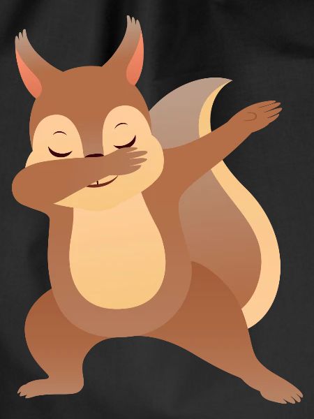 Squirrel Dab Dance - Cool Gift