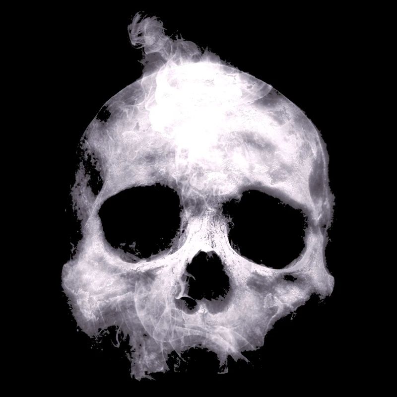 skull