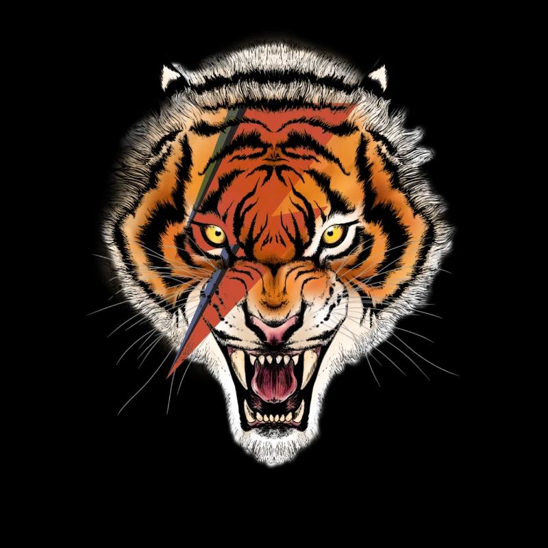 Tiger Thunderbold Illustration