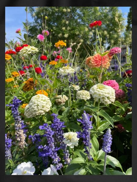 Blumen