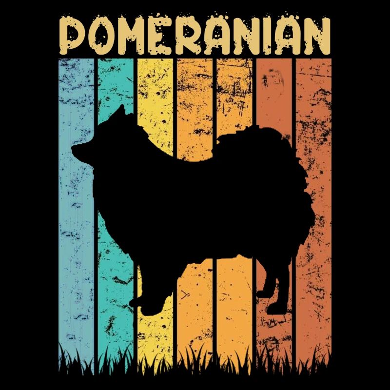 Pomeranian