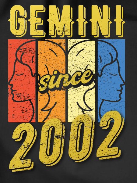 Gemini Zodiac 2002 Gift