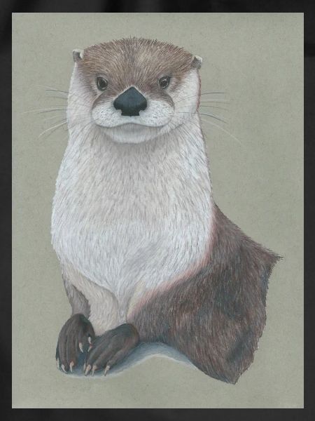 230324 Otter 3