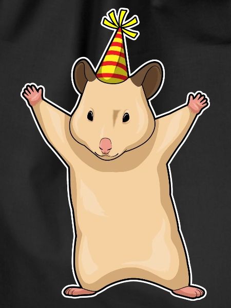 Hamster Birthday Party Hat