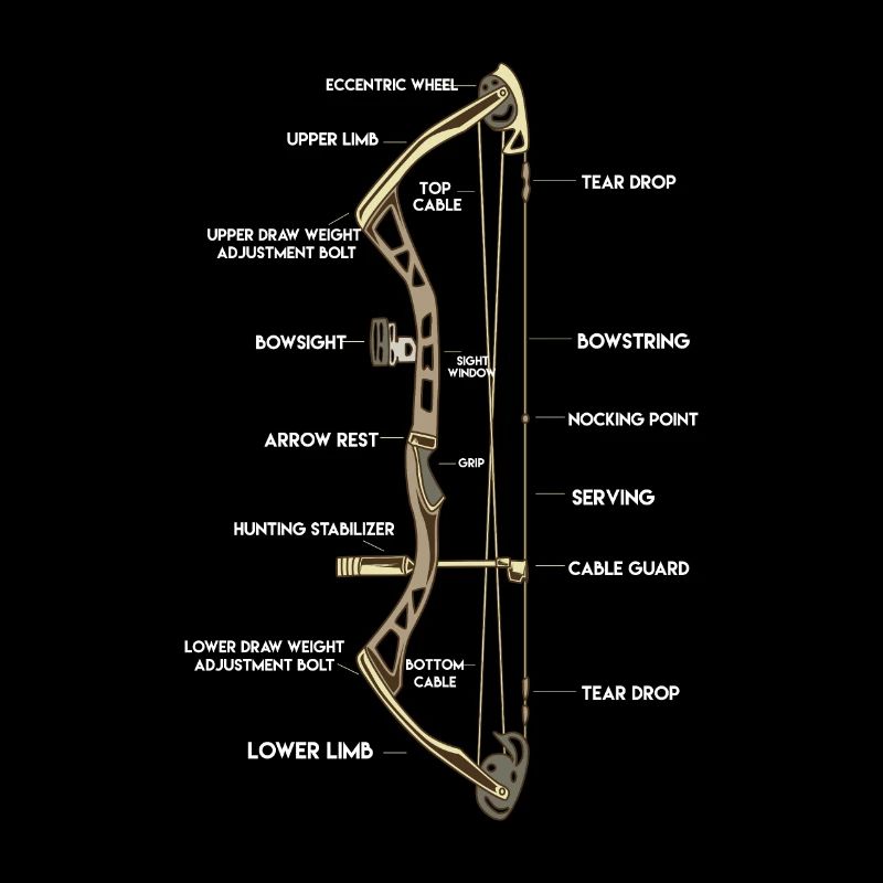 Anatomie eines Bogens | Bogensport Compound Pfeil