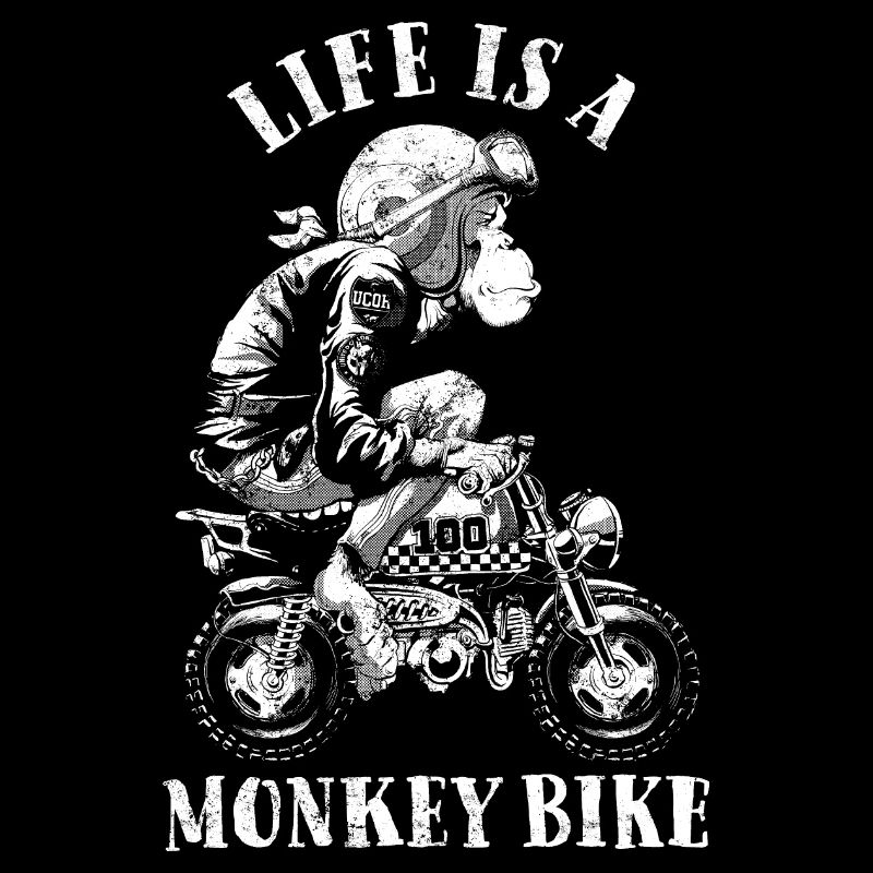 La vie est un vélo de singe