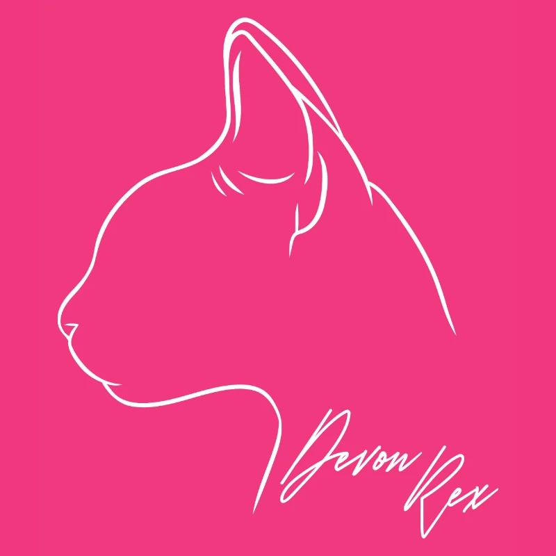 Devon Rex Profil Chat Chat Wilsigns