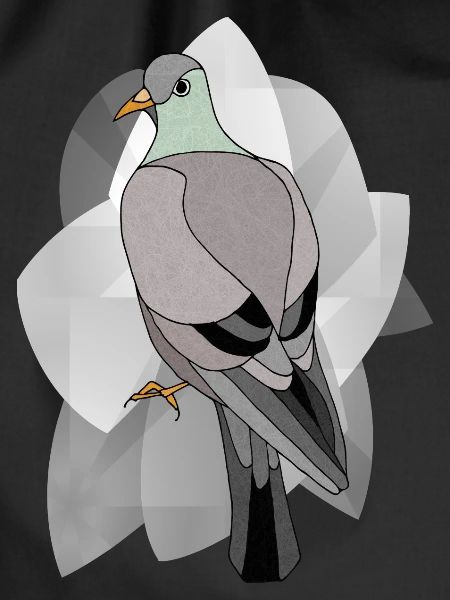 Bird pigeon