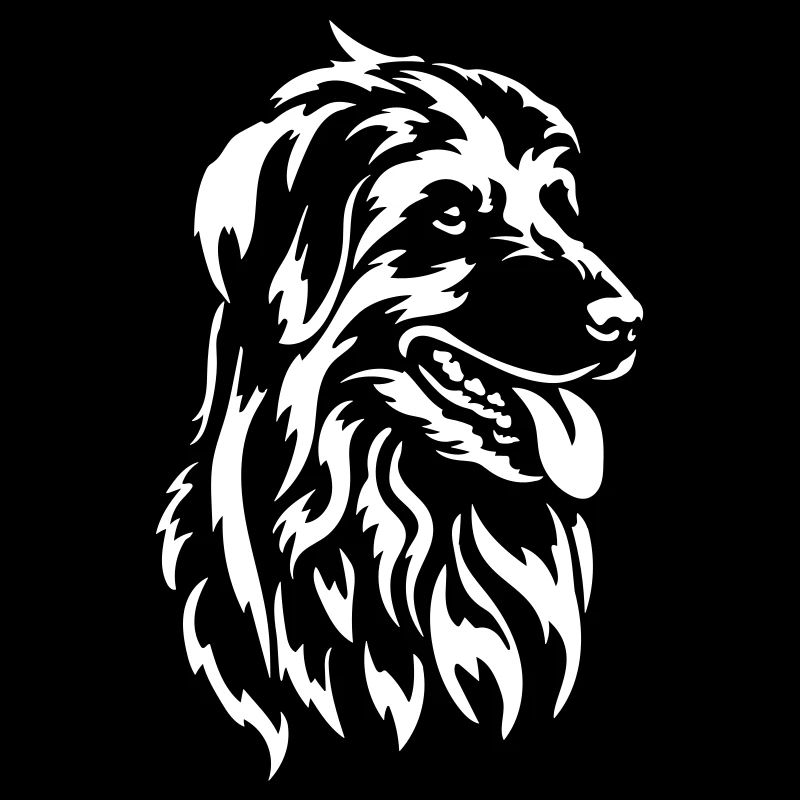 Berger des Pyrénées Kopf "Black Edition"