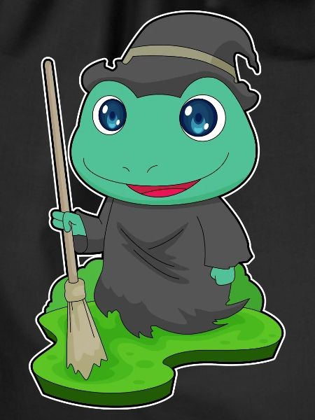 Frog Witch Broom