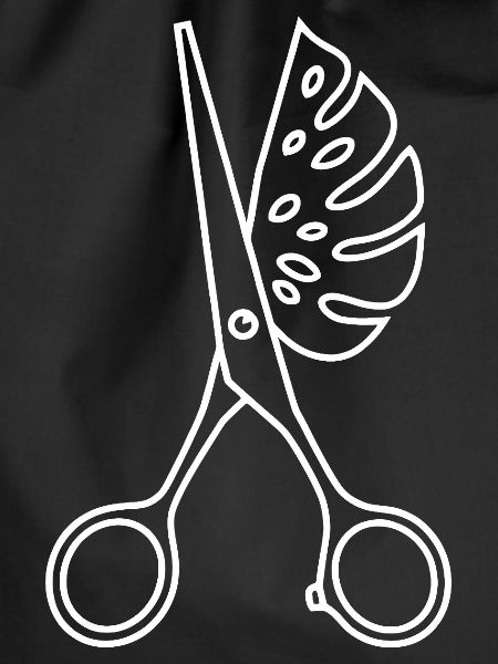 Scissors & Monstera