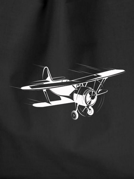 plane 2