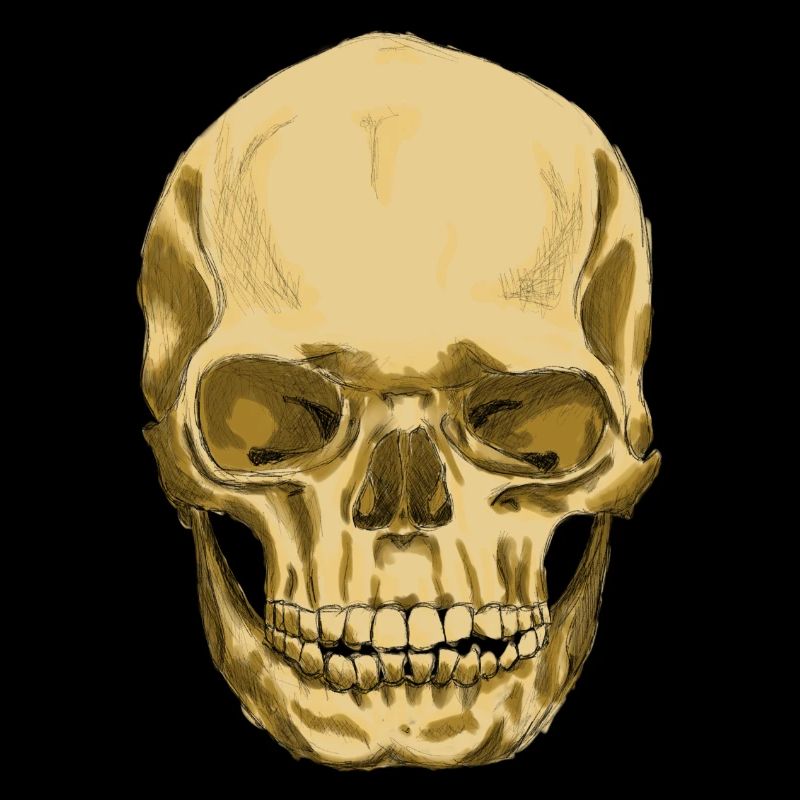Skull