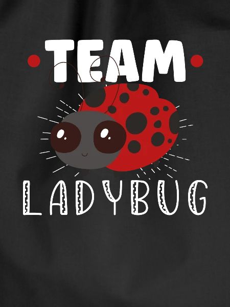 Ladybug Ladybug Entomology Insects