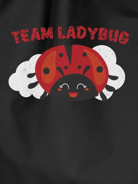 Ladybug Ladybug Entomology Insects