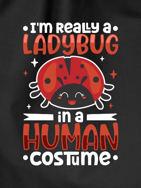 Ladybug Ladybug Entomology Insects