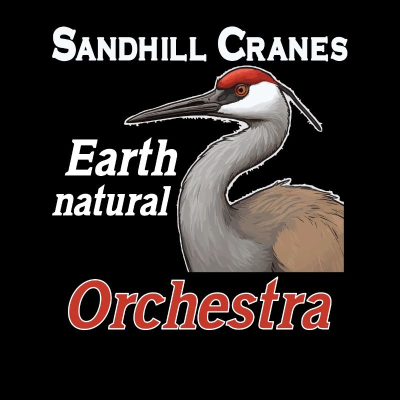 Amateurs de grues du Canada Observation des oiseaux