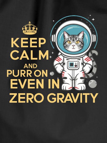 Katze Astronaut Astronomie Äußeres Sonnensystem